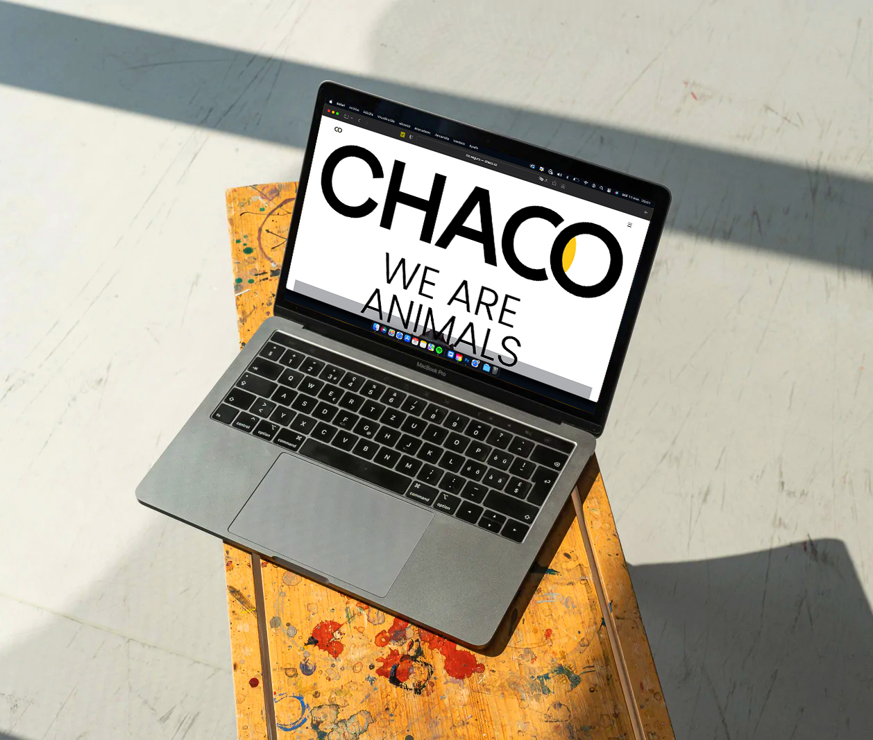 CHACO PalaciosBros