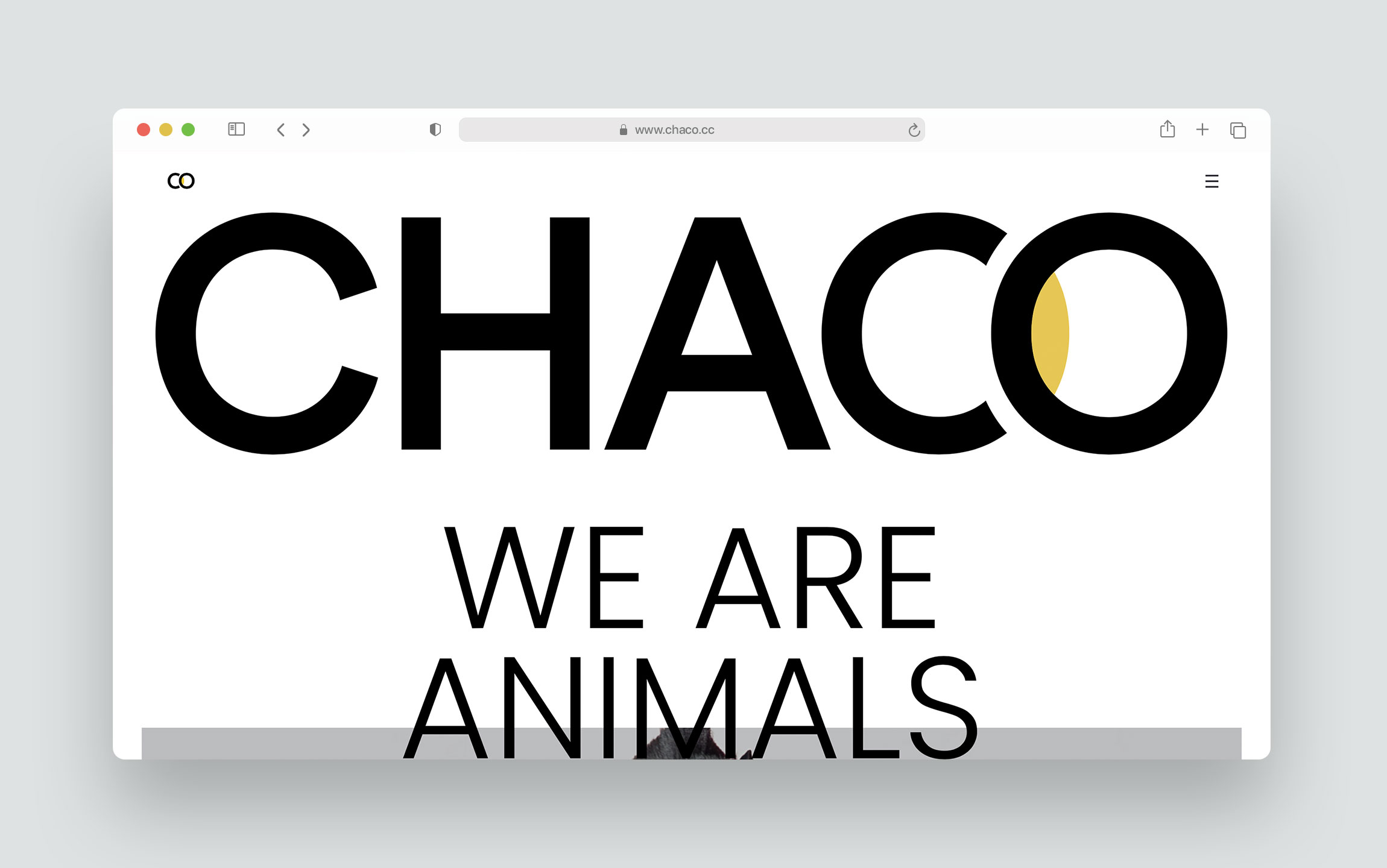 UX for CHACO by Palacios Bros Studio